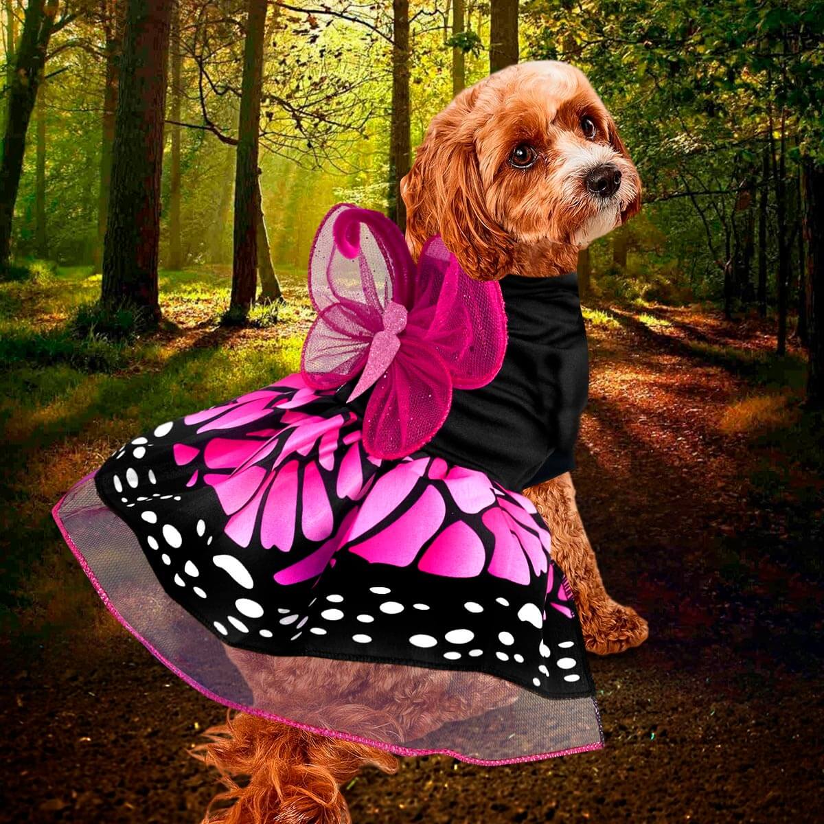 DISFRACES PARA MASCOTAS