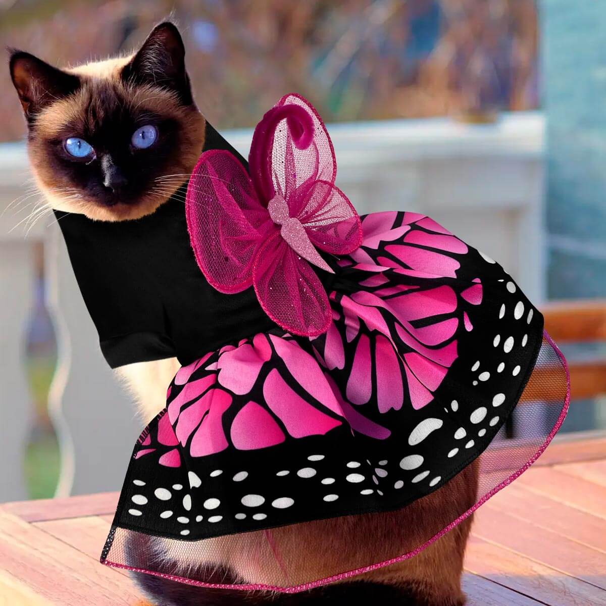 DISFRACES PARA MASCOTAS