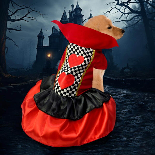 DISFRACES PARA MASCOTAS