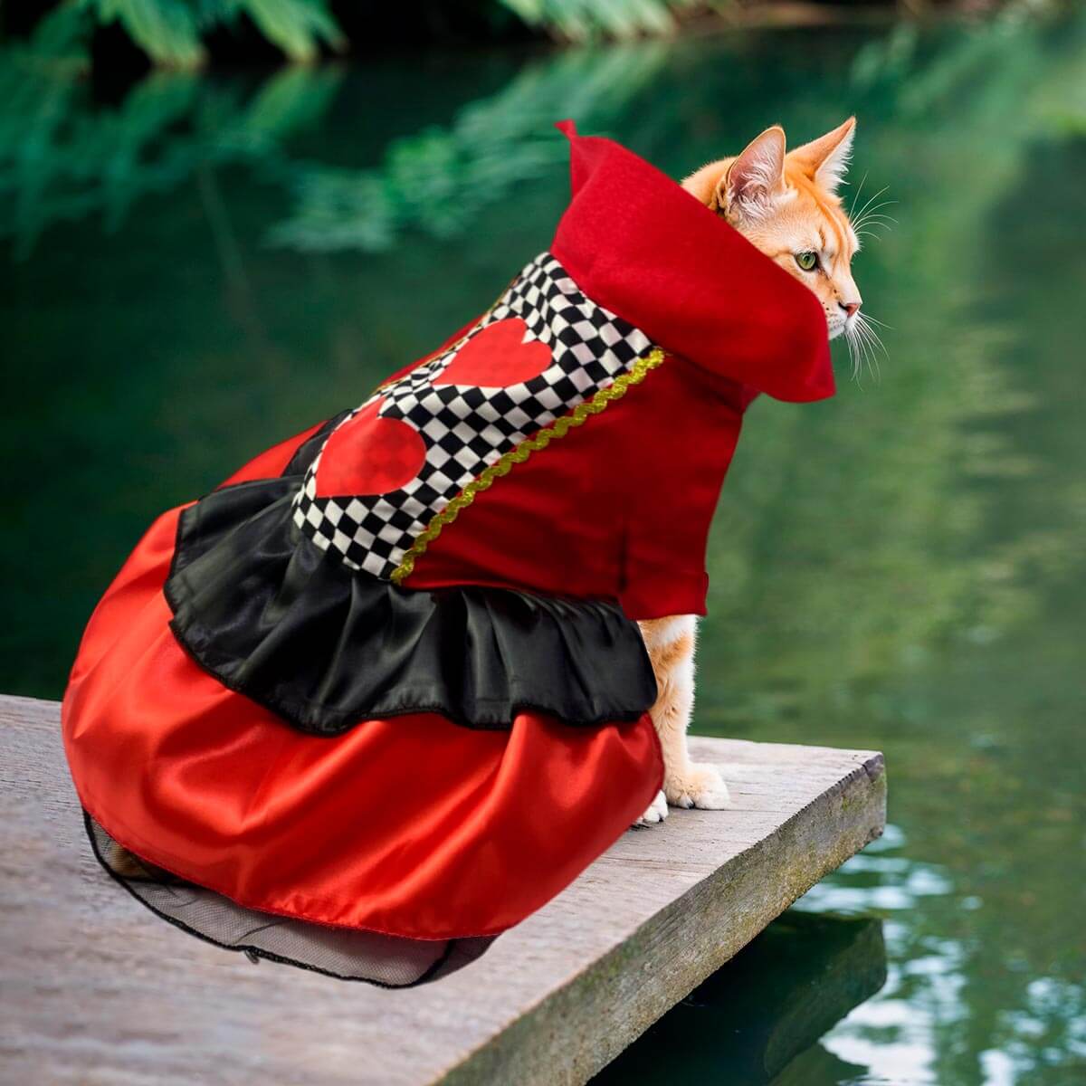 DISFRACES PARA MASCOTAS